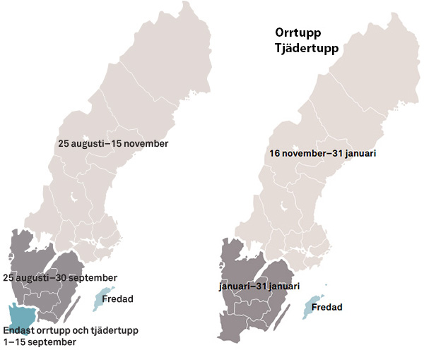 Jakt Orre
